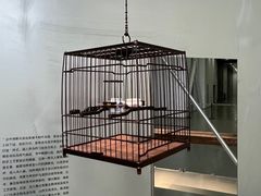 -上海当代艺术博物馆