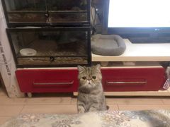 -宠福鑫动物医院(城北分院)