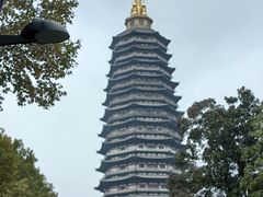-红梅公园