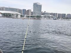 -五缘湾游艇帆船俱乐部
