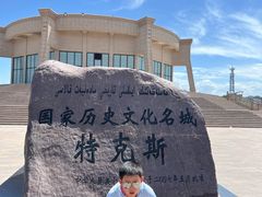 -特克斯八卦城