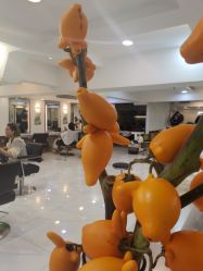 -雅仕 HAIR SALON 美发沙龙