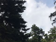 -庐山风景区花径公园