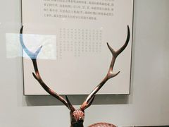 -湖北省博物馆