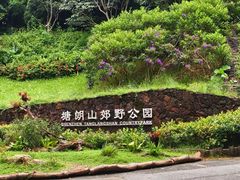-麗枫酒店(深圳机场福永地铁站店)