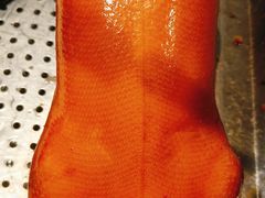 -真地道京味府·鲜橙烤鸭·北京菜(朝外大街东大桥店)