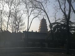 -大雁塔北广场音乐喷泉