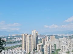 -福道