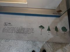 -齐文化博物馆