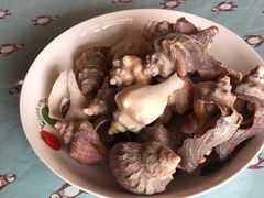 -芦潮港集贸市场