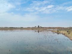 -上海海湾国家森林公园