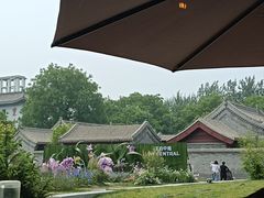 -The Rug Cafe(王府中环店)