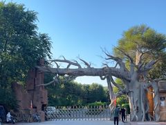 -红山国家森林公园