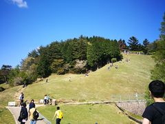 -神户市立六甲山牧场