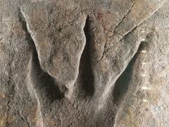 -湖南省地质博物馆