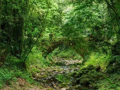 -凤栖山