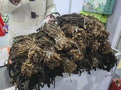 -上海跨国采购会展中心