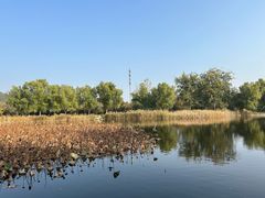 -国家植物园南园