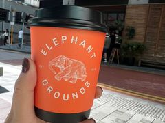 -Elephant Grounds(STARSTREET)