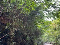 -井空里大峡谷