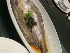 -九朝会昆曲·宴(望京店)