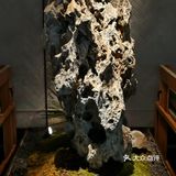 开工第一聚【绿茶餐厅】