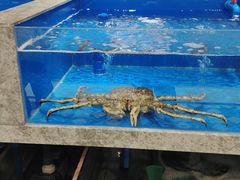 -帝皇海海鲜豆捞(桐泾商务广场店)