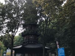 -上海佘山国家森林公园西佘山园