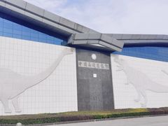 -中国西峡恐龙遗迹园
