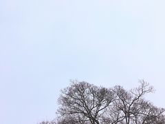 -自在弥林花园餐厅(云栖店)