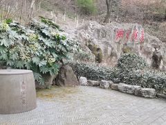 -东庐山观音寺