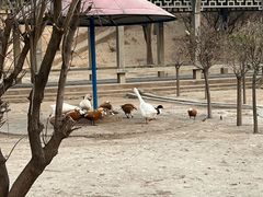 -森林公园(尖草坪区)