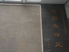 -中国地质大学逸夫博物馆
