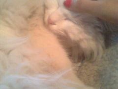 -Babycat私家御饼屋(龙头路一店)