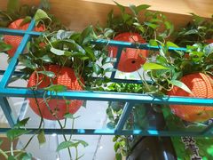 -奉天祥和锅烙铺(滂江街店)