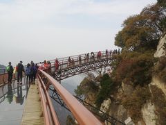 -少华山国家森林公园