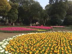 iphone_upload_pic-上海鲜花港