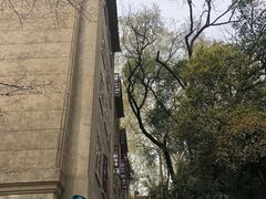 -武汉大学-樱园