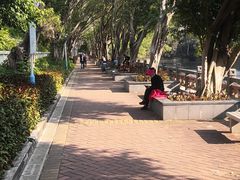 -深圳龙潭公园