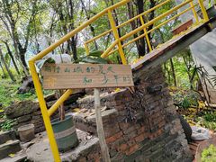 -南山植物园