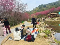 -福清灵石山国家森林公园