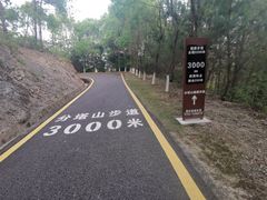 -分塔山省级森林公园