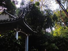 -广州兰圃