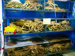 -蚝专家(北滘店)