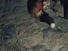 -梅峰山地公园