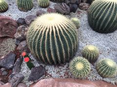 -南通洲际绿博园