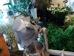 -森野花艺培训·企业团建活动沙龙