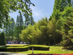 -棒棰岛宾馆景区