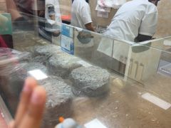 -杨招娣糕点(装驾桥巷店)