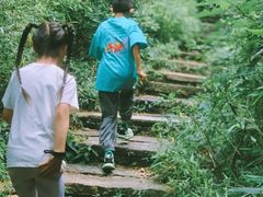 -杭州半山国家森林公园